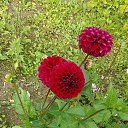 ���� ������, �����-���������, 62 ���� - ��������� 24 �������� 2025 � ������ �������