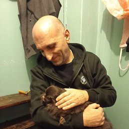 �����, ������, 50 ���