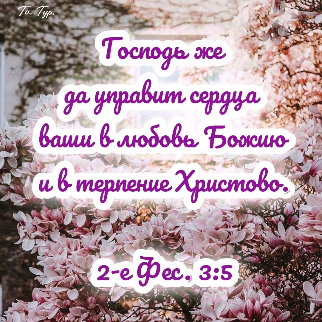 ����� - 7 ������ 2025 � 14:29