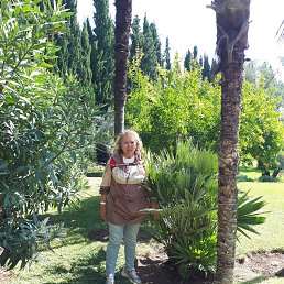  , 65, 