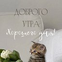 ���� ����, ������ ��������, 40 ��� - ��������� 23 ��� 2025 � ������ ������ ��������