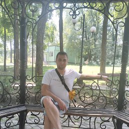 , 34, 