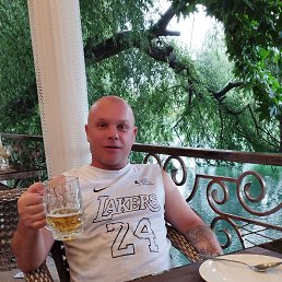  , 41,  