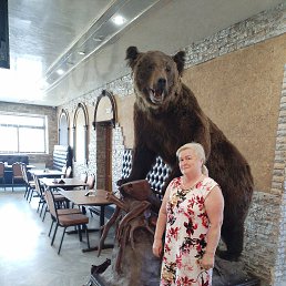 ���� �������, ������, 64 ���� - ��������� 6 ����� 2026