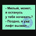  :: ::, , 41  -  28  2025    