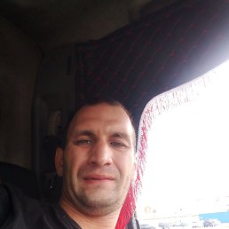 , 33, 