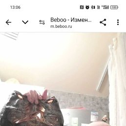 ���� ������, ������������, 41 ��� - ��������� 24 ������� 2026