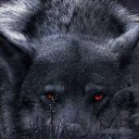 ���� ���������, �����, 32 ���� - ��������� 15 ���� 2025 � ������ ���� ����������