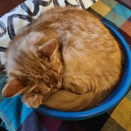 ������, �����, 57 ���