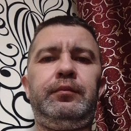 ���������, ������, 41 ���