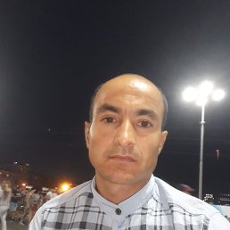 , 37, 