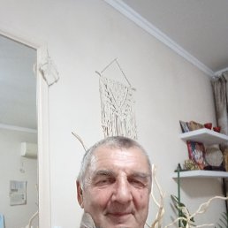 , 66, 