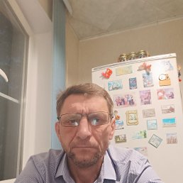 , 53,  