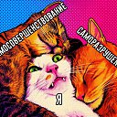 ���� �����, ������ - ��������� 5 �������� 2026 � ������ ������ ��������