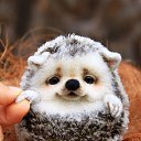 ���� �������, ���������� - ��������� 24 ���� 2024