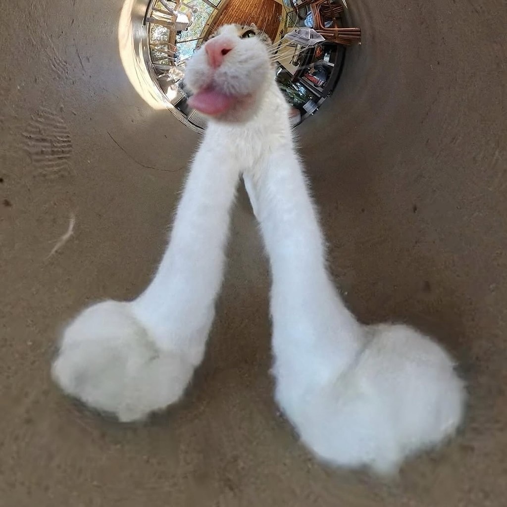 Кто-то осмелится поспорить, что это не самые крутые фотки в интернете? Только попробуйте - 2