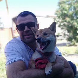 ���� ��������, ���������, 49 ��� - ��������� 19 ����� 2026