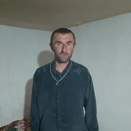 ���� �������, 40 ���, ��������