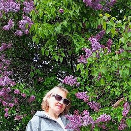 Ninylya, ������, 61 ���