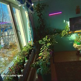 ���� ������, �������-���������, 65 ��� - ��������� 22 ������ 2023