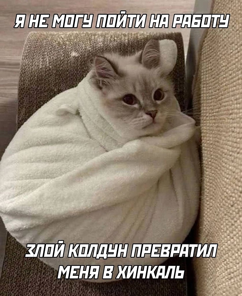  - 20  2025  08:36