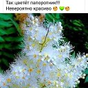 ���� �����, ���� - ��������� 10 ����� 2025 � ������ ���� ����������