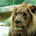 ����� ���� ����)) �� ������� ���� ����������