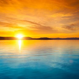 �����, ������������, 45 ���