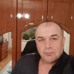 , 51 , 