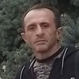 ����, ������, 49 ���