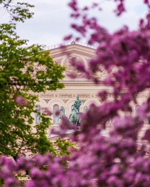 Цветение в Александровском саду и на Манежной площади.Фото: kobektas - 2