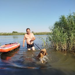 ������, 62 ����, ����