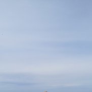 ����, 50 ���, �����������