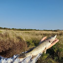 �����, �����, 48 ���