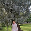 ���� Julia, ����� - ��������� 21 ��� 2026 � ������ ���� ����������