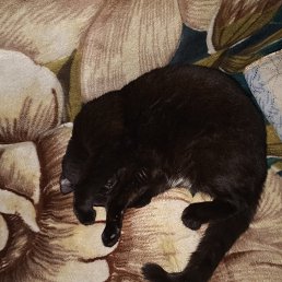 ���� ����, �����, 47 ��� - ��������� 8 ������� 2026