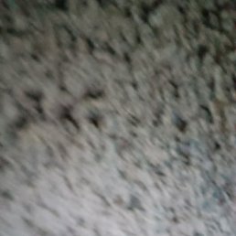 Suji, �����������, 30 ���