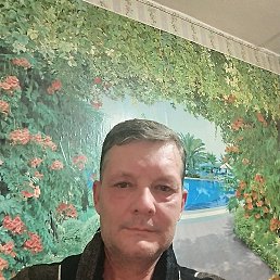 , 49 , 