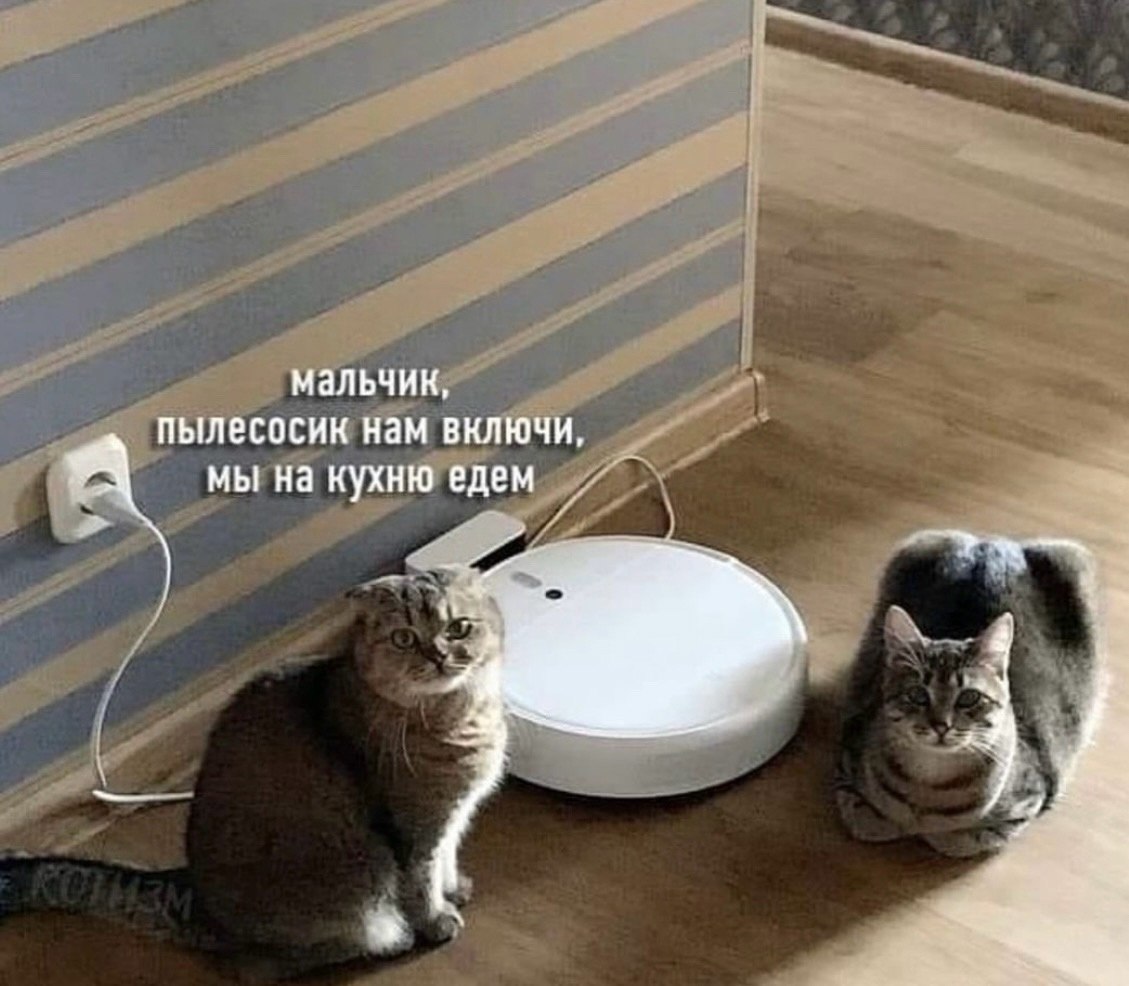  - 1  2024  20:08