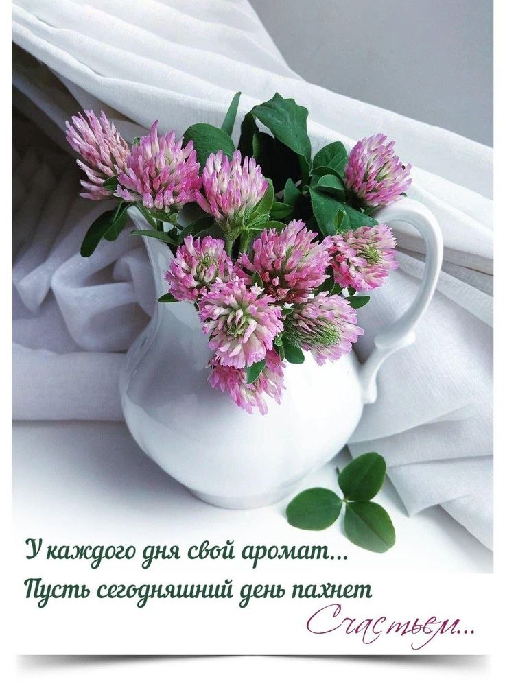 �� ����� ������! - 15 ���� 2026 � 07:50