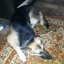 ���� ������, ������� - ��������� 3 ������� 2024 � ������ ���� ����������