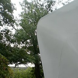 �������, ����, 58 ���