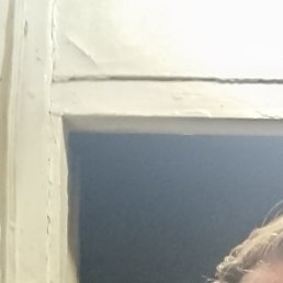 ����, �����������, 43 ����