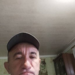 , 54, 