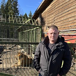 ���� �������, ��������, 45 ��� - ��������� 3 ������ 2025