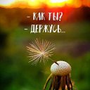 ���� ����, ������, 66 ��� - ��������� 8 ������ 2025 � ������ ������ ��������