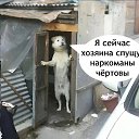 ���� �������, ������ - ��������� 10 ����� 2025 � ������ ������ ��������