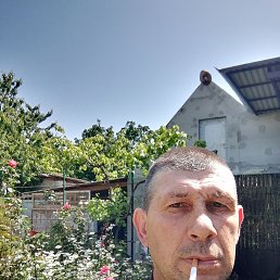 , 53, 