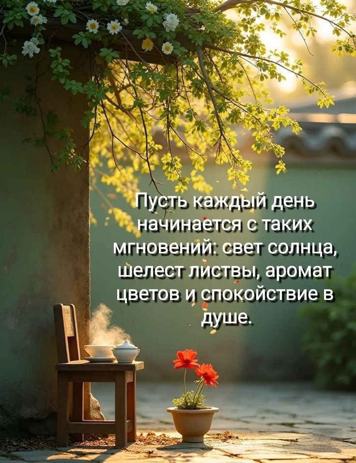   ,    . - 8  2025  23:42