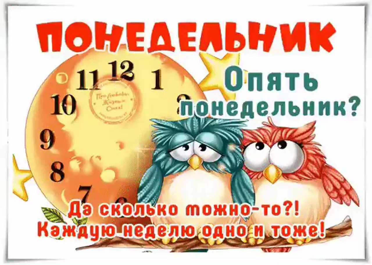   - 12  2025  09:36